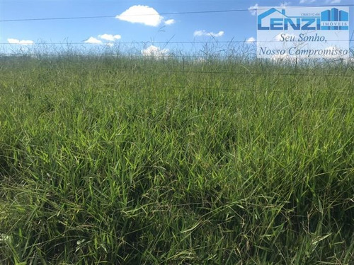 Imagem 9 de 15 de Fazendas À Venda Em Presidente Olegario/mg - Compre O Seu Fazendas Aqui! - 1430789