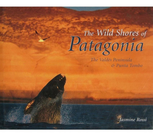 The Wild Shores Of Patagonia - Jasmine Rossi