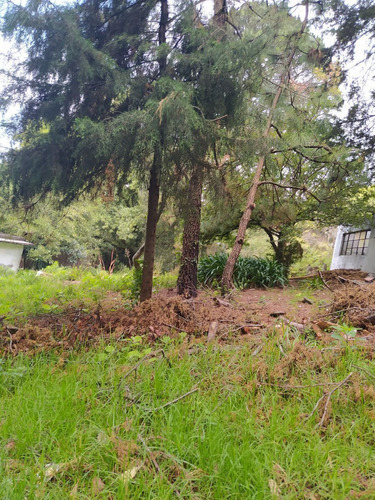 Imagen 9 de 23 de En Venta 3 Terrenos En Huitzilac, Morelos.