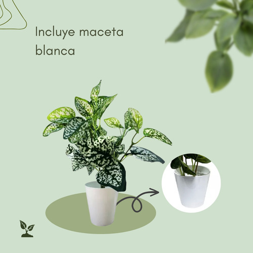 Planta Artificial De Escritorio Con Maceta Cónica + Piedras