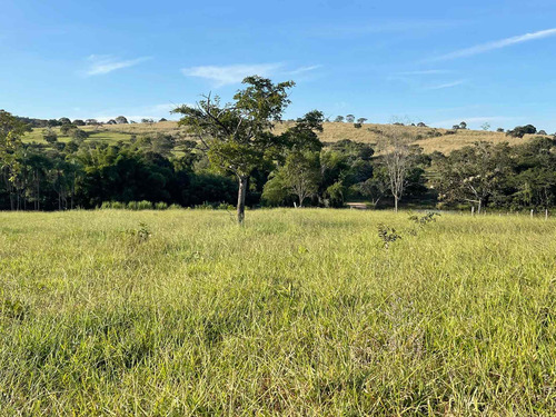 Imagem 12 de 20 de Chácara À Venda! Em Goianésia - Go, 13 Alqueres A 14.5 Km De Goianésia, Com 2 Nascente De Água Dentro.
