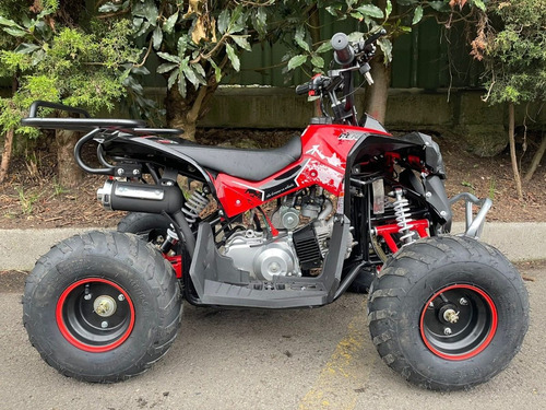 Imagen 3 de 9 de Cuatrimoto 110cc Automatica Para Niños 2023
