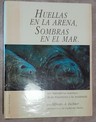Huellas En La Arena, Sombras En El Mar. Alfredo Lichter
