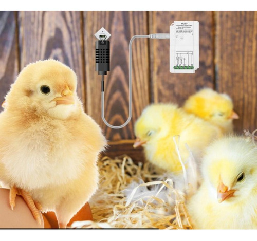 Controle Temperatura Inteligente Alexa E Google H Sem Sonda 110-220