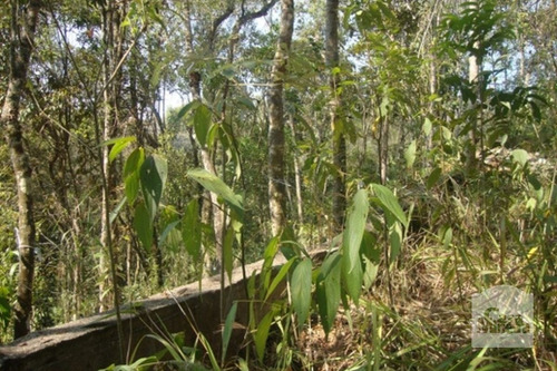 Imagem 5 de 10 de Lote Em Condomínio À Venda No Arvoredo - Código 218875 - 218875