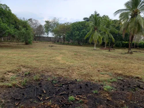 Lote Con Amplias Posibilidades De Desarrollo Cod 18401