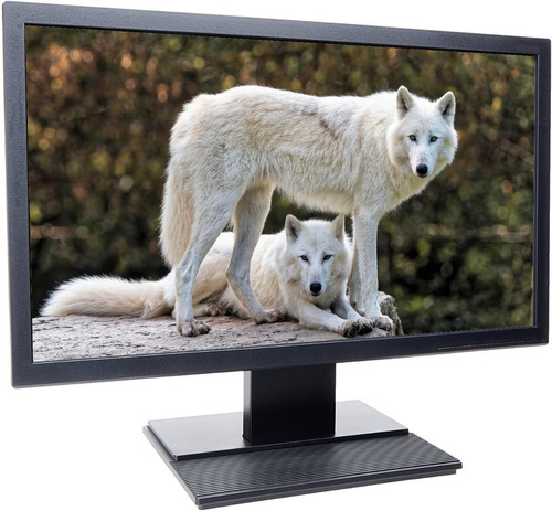 Especial Monitor De 22 Pulgadas 60hz Vga Hd Para Pc (Reacondicionado)