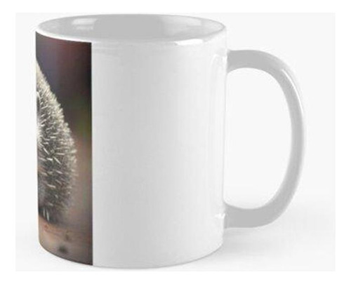 Taza Animal Erizo Calidad Premium