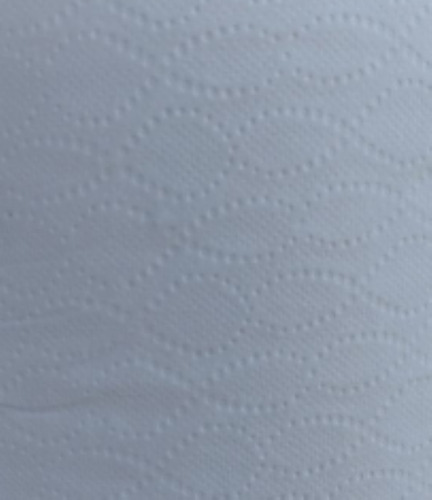 Imagen 4 de 4 de Toalla De Papel Industrial Jumbo Hoja Simple 250 M Hogar