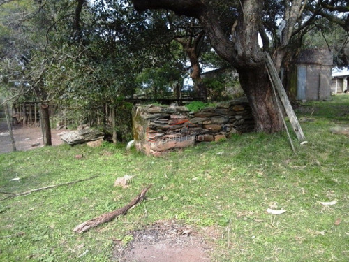 Campo En Venta En Uruguay, Lavalleja A Pocos Km De Minas- Ref: 22035