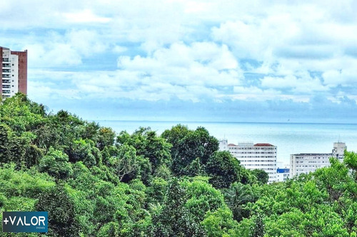 Imagem 13 de 30 de Casa Para Venda No Morro Do Santa Teresinha Em Santos - Ma21258 - 70591301