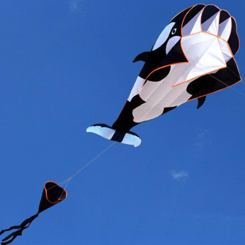 Cometa 3d,, Juguete Deportivo Al Aire Libre, Cometas