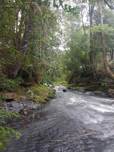 Imagen 7 de 10 de Vendo Maravilloso Campo Con Ríos Y Bosque Nativo.
