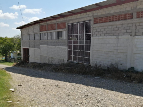 Imagen 3 de 7 de Bodega Industrial - Villa Rosita