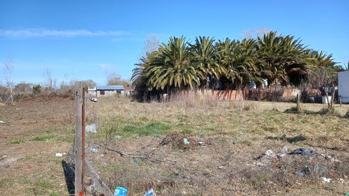 Imagen 4 de 12 de Lote Venta Santa Teresita Calle 47 Entre 11 Y 12