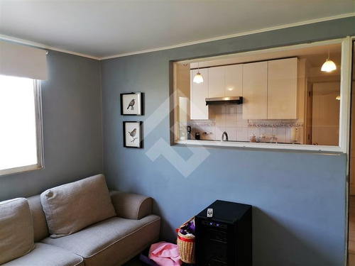 Imagen 17 de 24 de Casa En Venta De 4 Dorm. En La Florida