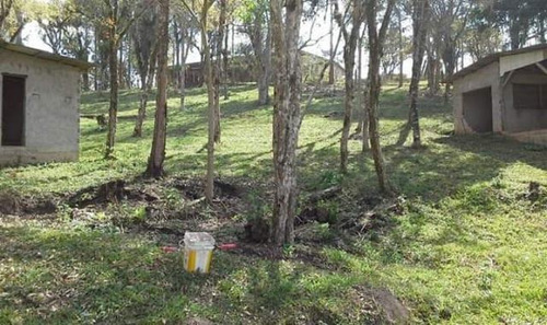 Imagem 13 de 15 de Chácara Para Venda Em Quitandinha, Zona Rural - Qui3300_1-2030544