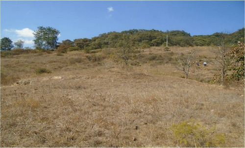 Terreno En Venta En Temascaltepec.