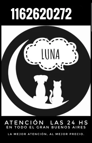 Funeraria De Mascotas Luna Cremaciones De Mascotas Y Más...