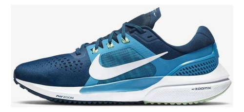 Nike Air Zoom Vomero 15 Masculino Adultos