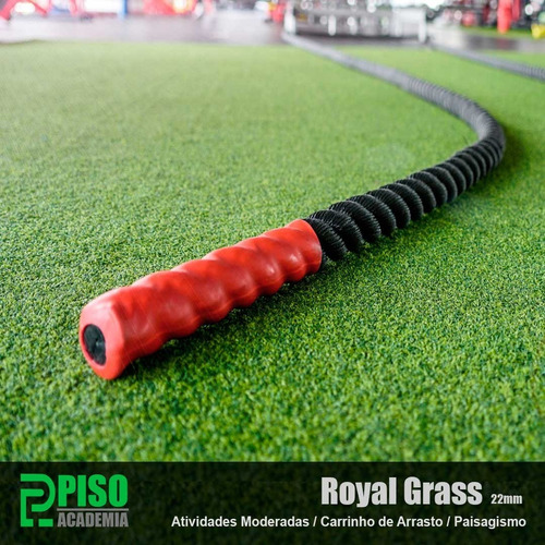 Grama Sintética Royal Grass 22mm 2x24,5m (49m²) Bicolor Real