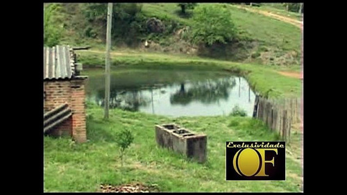 Imagem 4 de 10 de Sítio Para Venda Em Amparo, Rural - Sit 023_1-2383828