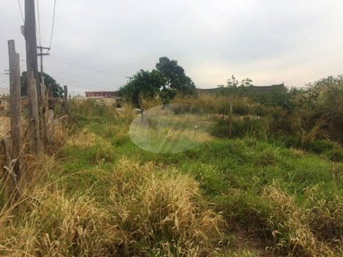 Imagem 3 de 4 de Terreno Á Venda E Para Aluguel Em Jardim Itatinga - Te207716