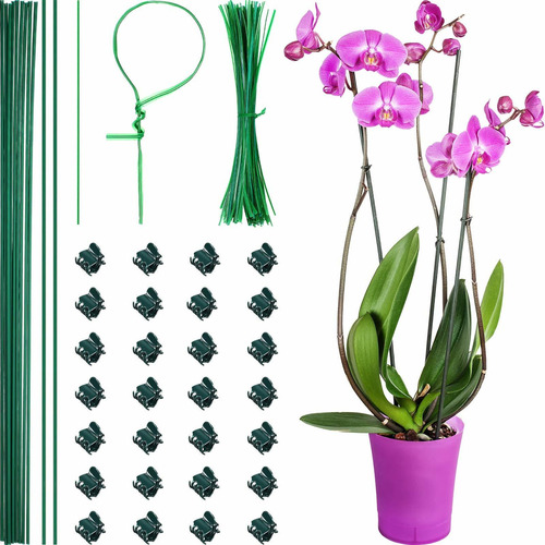 10 Estacas De Metal Para Plantas Con 50 Clips De Orquídeas D