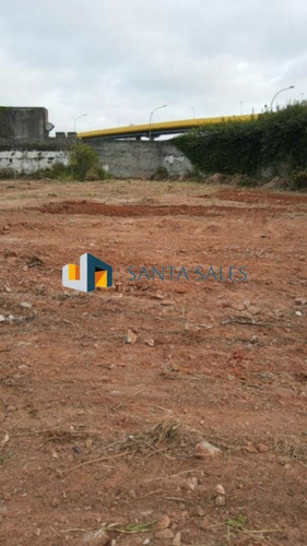 Imagem 5 de 10 de Espetacular Terreno 3300 Metros Quadrados No Ipiranga!! - Ss46296
