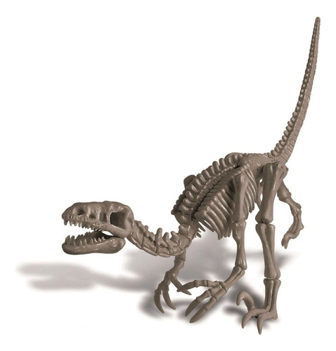 Kit De Escavação De Dinossauro Velociraptor