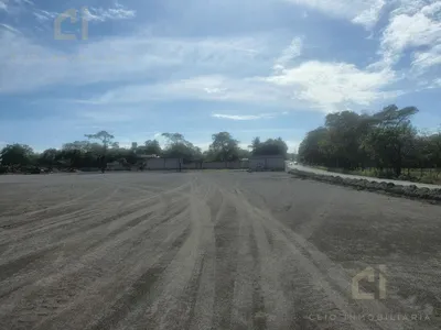 Terreno en renta