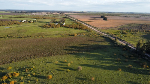 Imagen 15 de 16 de Campo En Concepción Del Uruguay - 72 Hectáreas