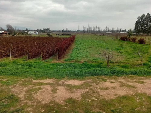 Venta De Parcela Con Casa, Piscina Y Producción Frutal Mol