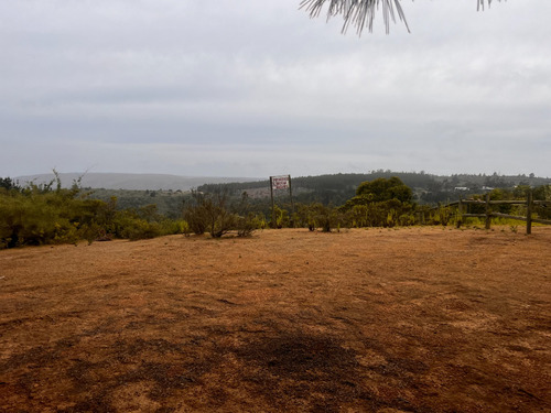 Campomar Acceso A Playa Virgen Tunquen, Refugio Forestal