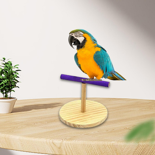 Parrot Playstand Parrot Perch Stand Para Finch Lovebirds