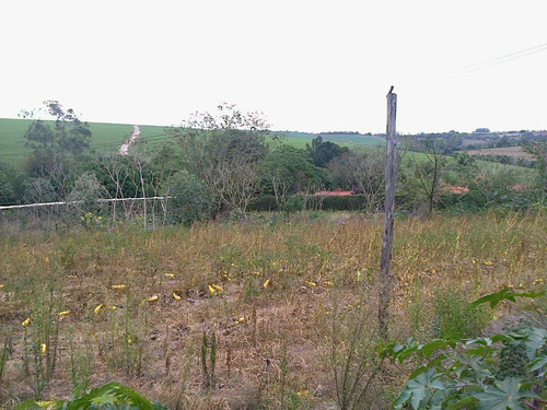Chácara À Venda, 20000 M² Por R$ 530.000 - Ipiranga - Elias Fausto/sp - Ch0029