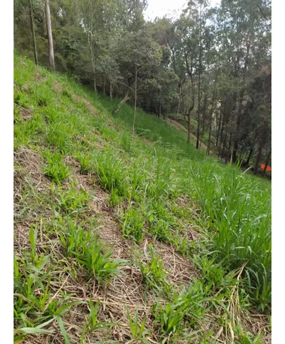 Finca En Vender En Guarne