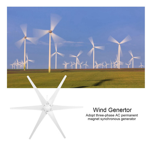 Viagasafamido Generador De Turbina Eólica, Generador De De W