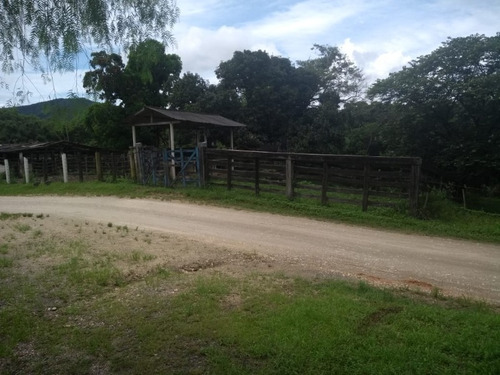 Imagem 29 de 30 de Fazenda - Fa00003 - 34856184