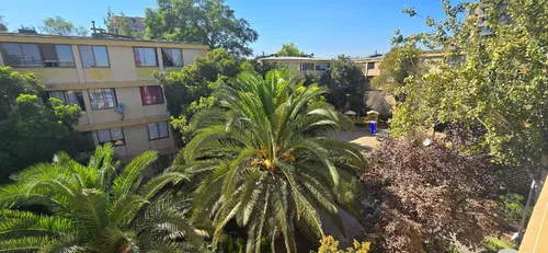 Depto Antiguo 3 Dorm, 2 Baños En Agustinas / Cumming