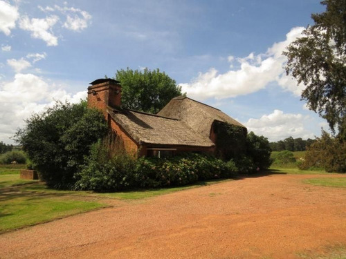 Chacra En Venta Camino Lussich 3 Dormitorios- Ref: 217462