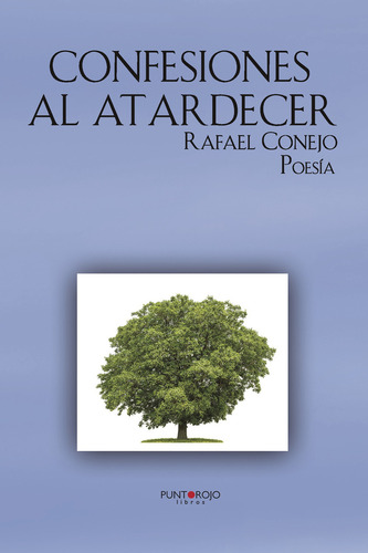 Confesiones Al Atardecer, De Ejo Sánchez-pascuala , Rafael.., Vol. 1.0. Editorial Punto Rojo Libros S.l., Tapa Blanda, Edición 1.0 En Español, 2032