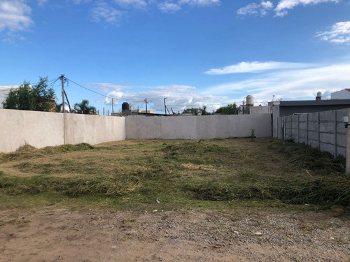 Imagen 3 de 5 de Terreno En Venta En Bosques