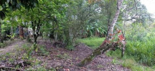 Imagem 25 de 25 de Chácara Com 50.000 M² De Área Total E Com Horta, Lago, Riacho, Pomar E Cozinha Caipira, No Bairro Gaivota, Em Itanhaém Ref: 9242/ac