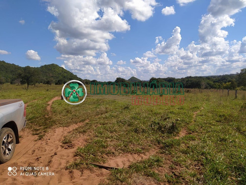 Imagem 8 de 14 de Fazenda Para Venda Em Barra Do Garças - Mt (cód. 192) Fazenda De Pecuária Em Toricueije Para Uso Em Pecuária.