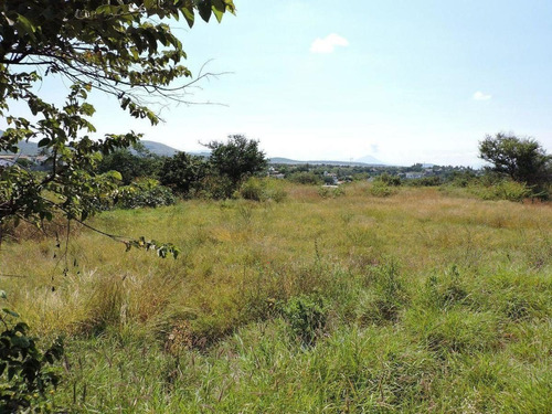Imagen 11 de 14 de Atencion Inversionistas, Terreno En Venta Sobre Carretera Mé