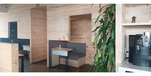Oficinas En Renta En Lomas De Chapultepec