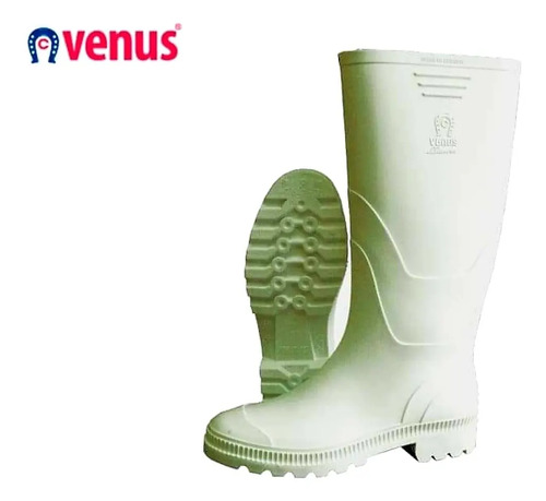 Botas Marca Venus Flash Sales, 59% OFF | www.gasabo.net