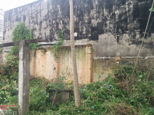 Imagem 5 de 5 de Terreno No Chora Menino - St17352