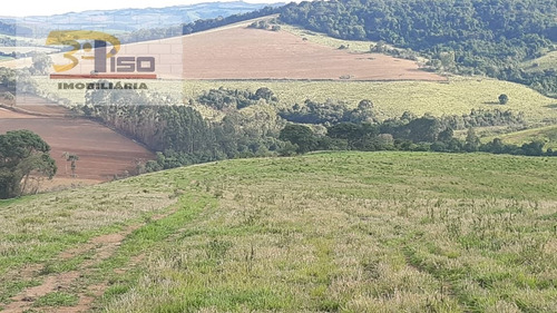 Imagem 12 de 15 de Fazenda Em Centro - Pouso Alegre - 1565